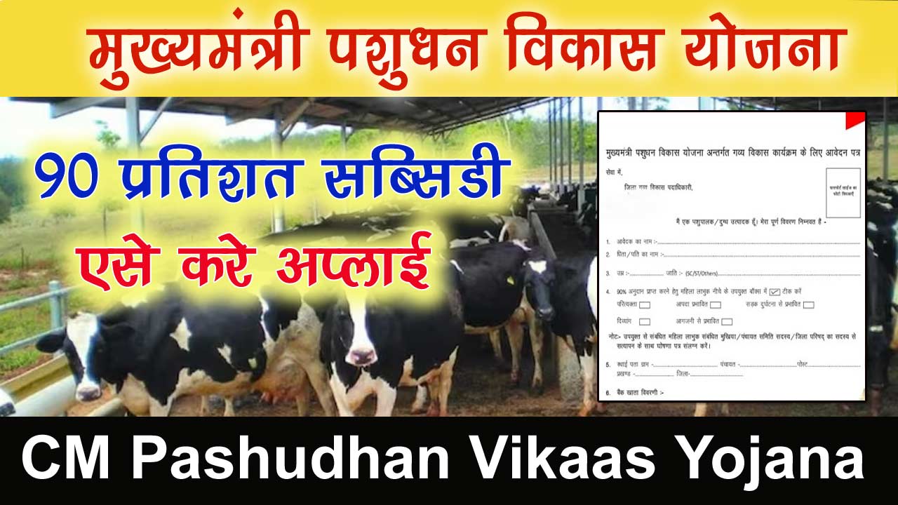 Mukhyamantree Pashudhan Vikaas Yojana Online Aavedan - पशुपालन करने वाले किसानों को मिलेगा 90% तक सब्सिडी, जाने आवेदन प्रक्रिया